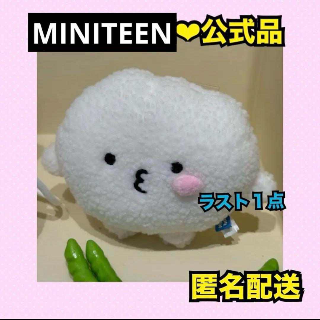 SEVENTEEN MINITEEN ぬいぐるみ　大 ウジ ビョプリ