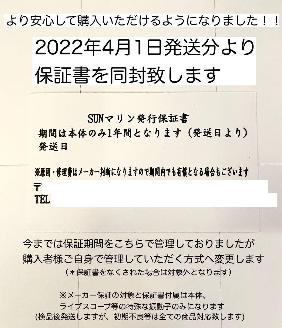 特別セール中　ガーミン ライブスコーププラス システムセット