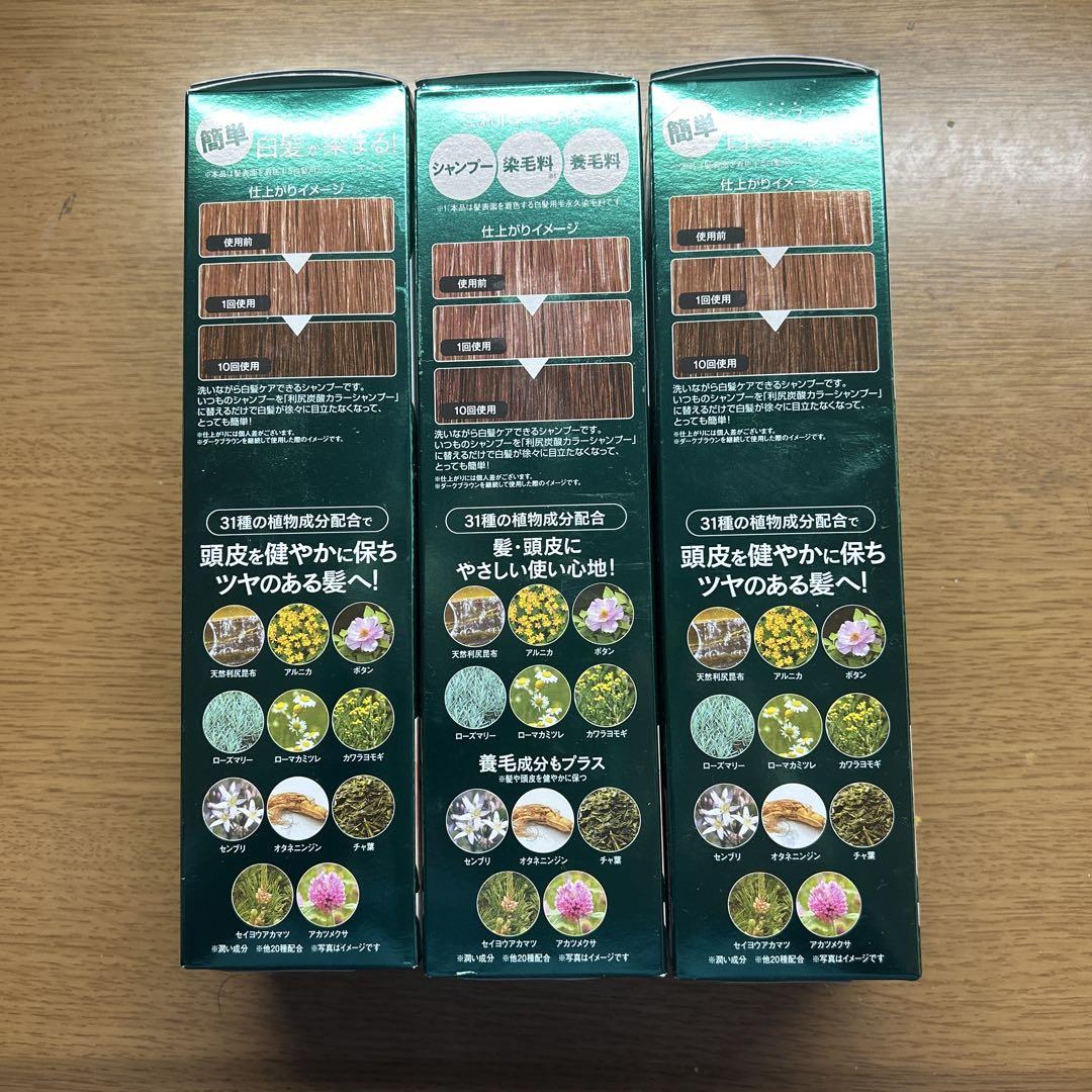 【新品】利尻炭酸カラーシャンプー 180g ダークブラウン 3本セット
