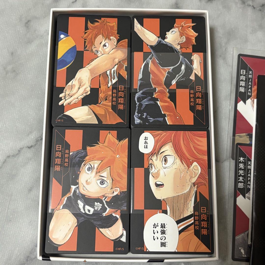 ハイキュー　排球援