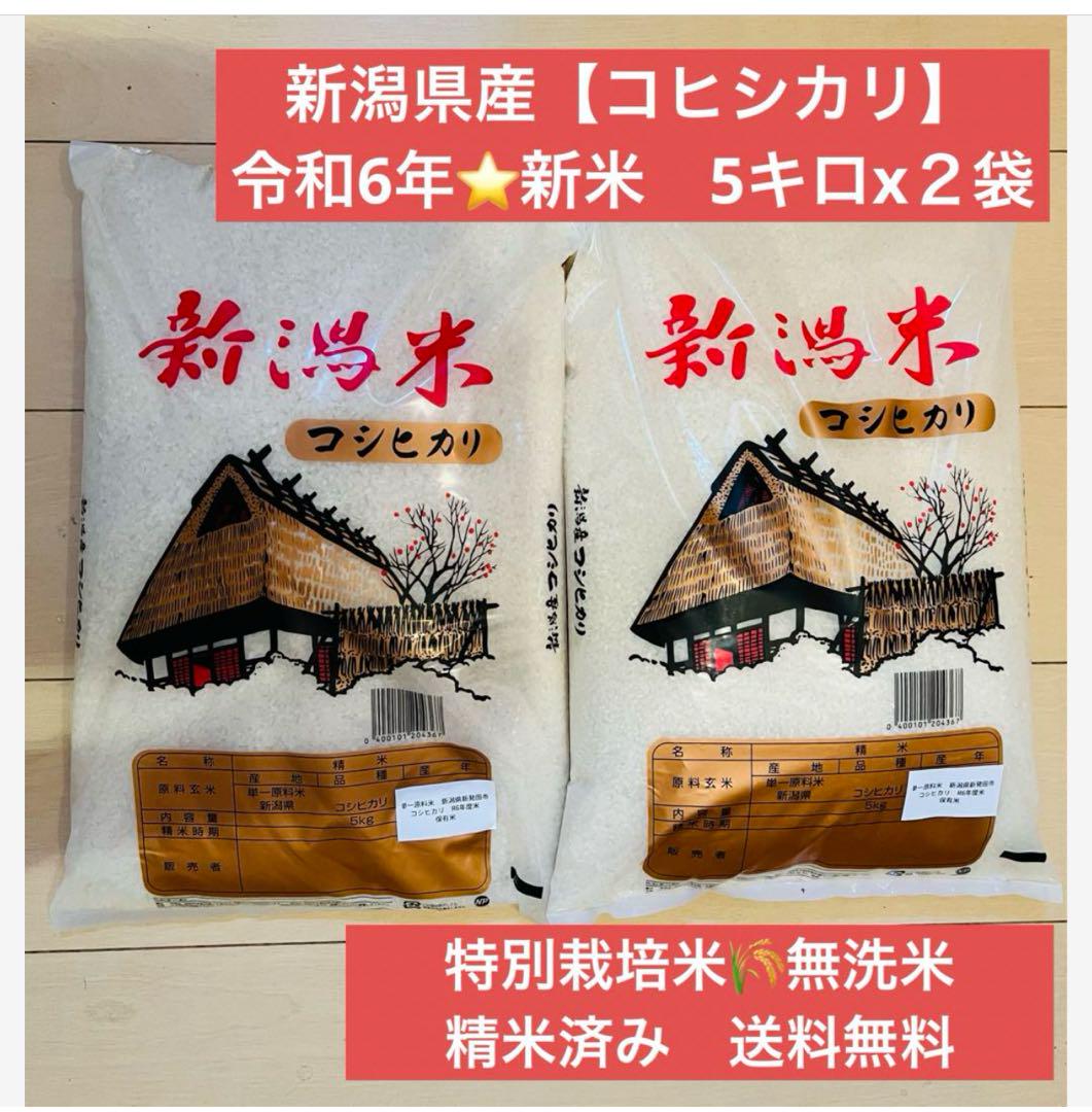新潟県産コシヒカリ　令和6年新米　5キロx2袋　合計10キロ