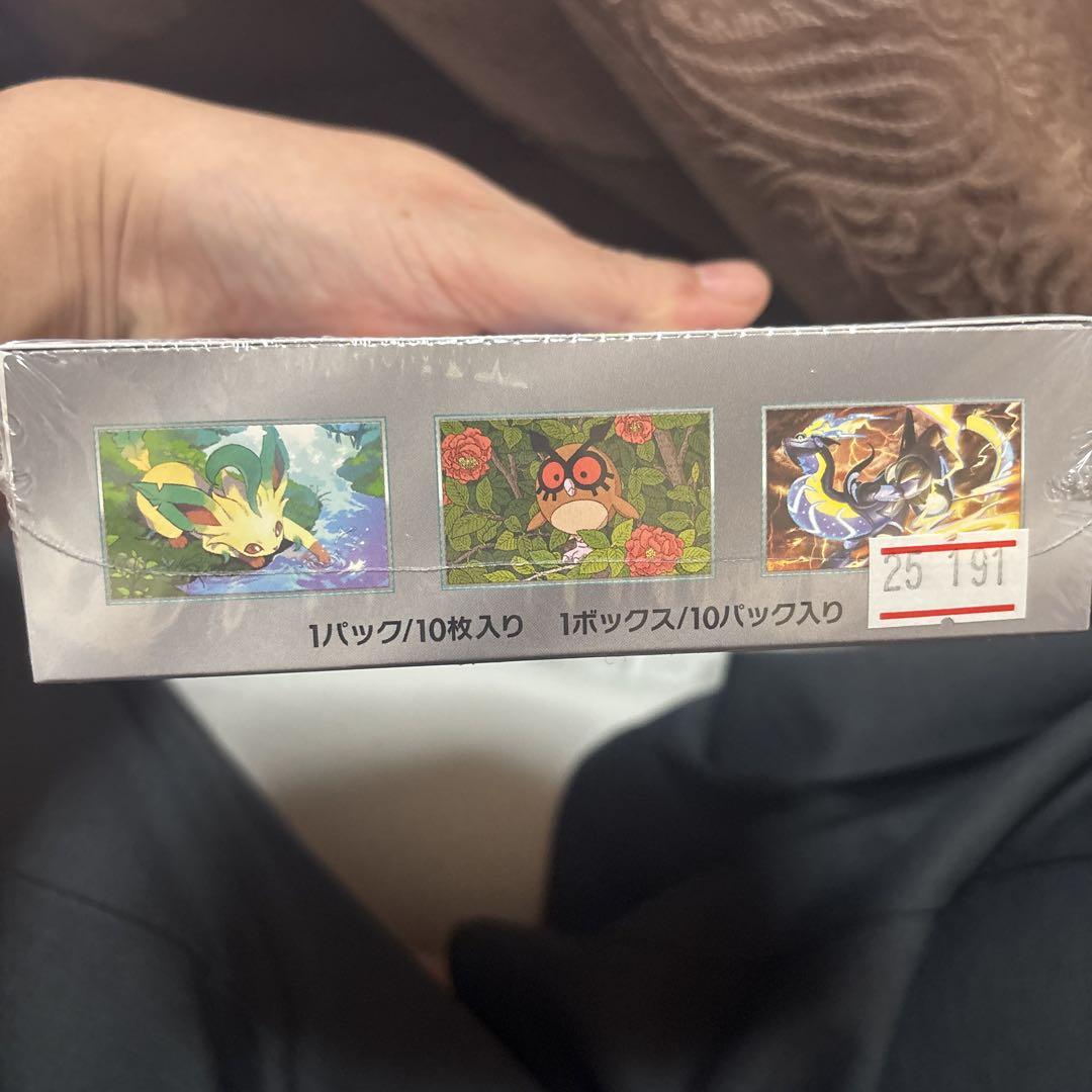 ポケモンカードゲーム テラスタルフェスEX ボックス