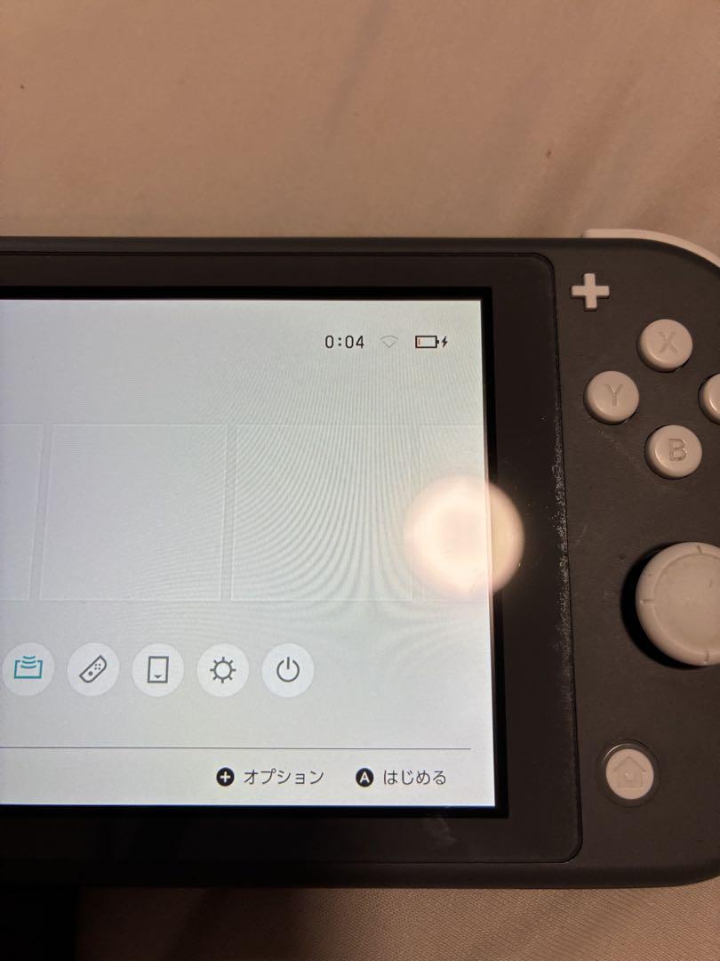【動作確認済み】Nintendo Switch Lite グレー 本体