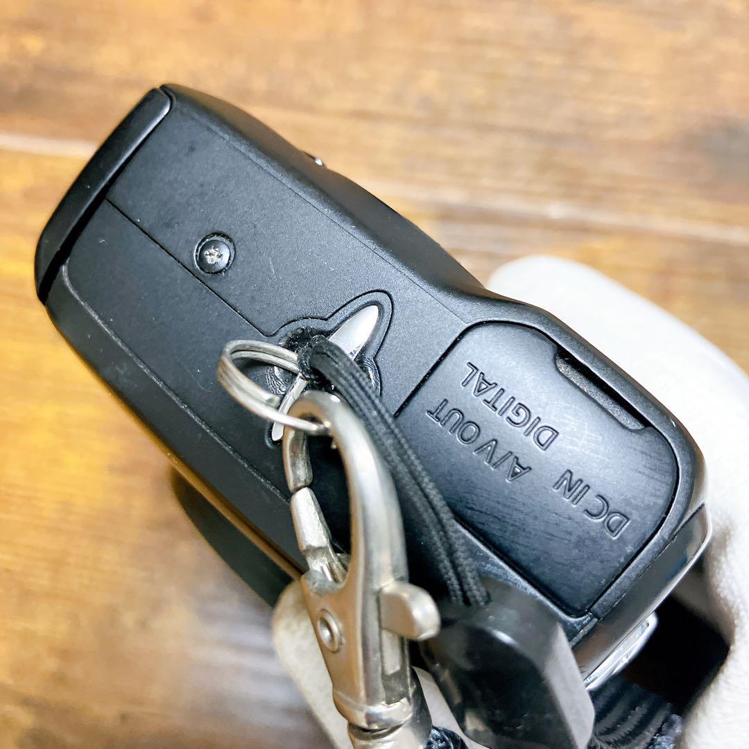 Canon Powershot SX110 IS 単三電池起動