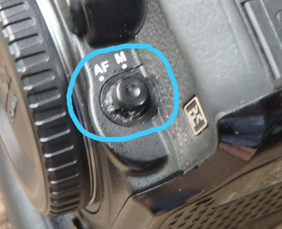 Nikon D600 デジタル一眼レフカメラ FX本体
