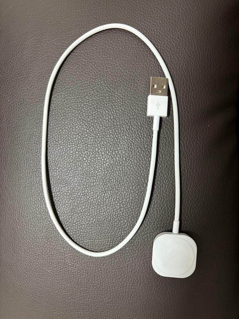 赤ロム保証付 Apple Watch 10 GPS 42mm充電 WWW_OPDRERGINERDOGAN_COM