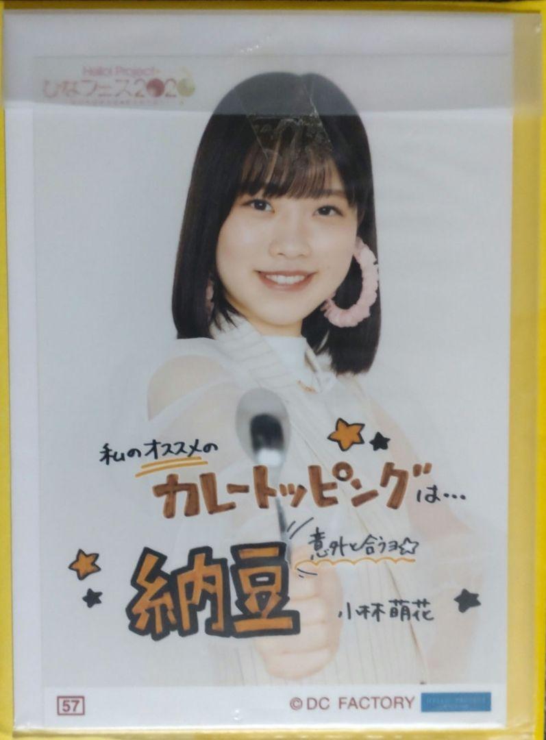 小林萌花クリアファイルまとめ売りバラ売り不可 転がす