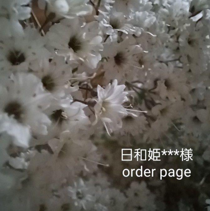 日和姫***様 【order】ドライフラワー リース