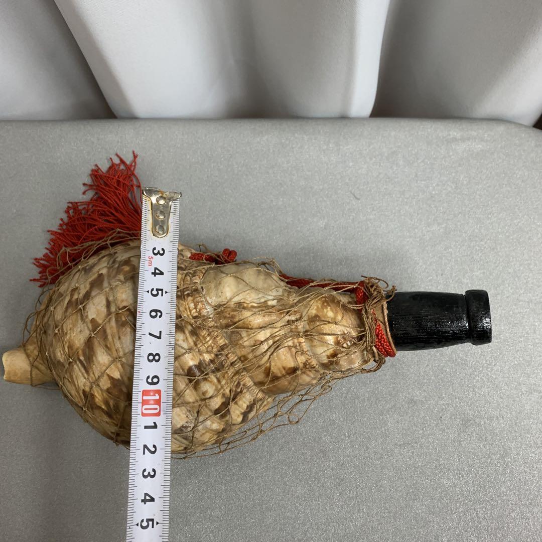 法螺貝　和楽器　美品　現状品