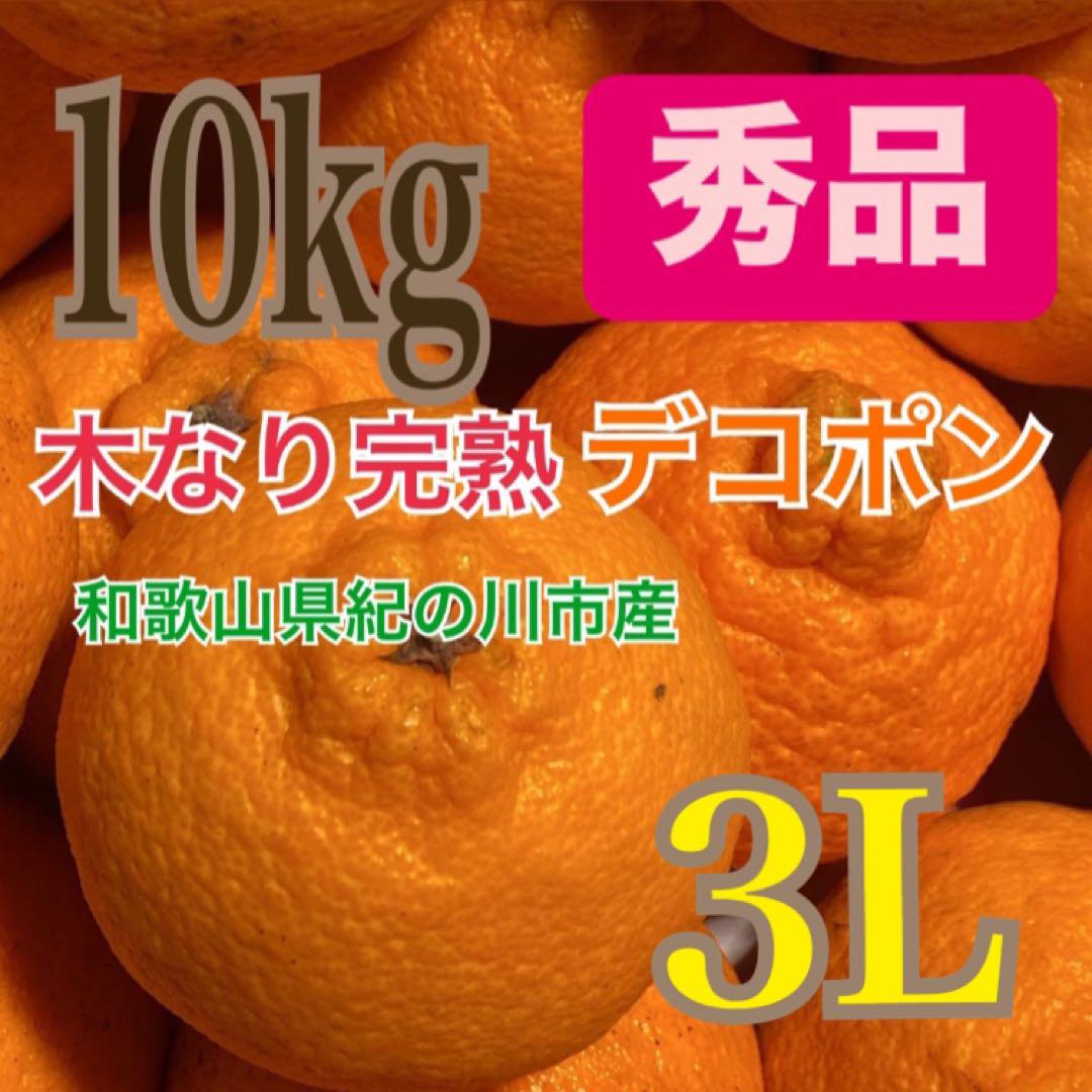デコポン(不知火)木なり完熟秀品3L箱込み10kg弱
