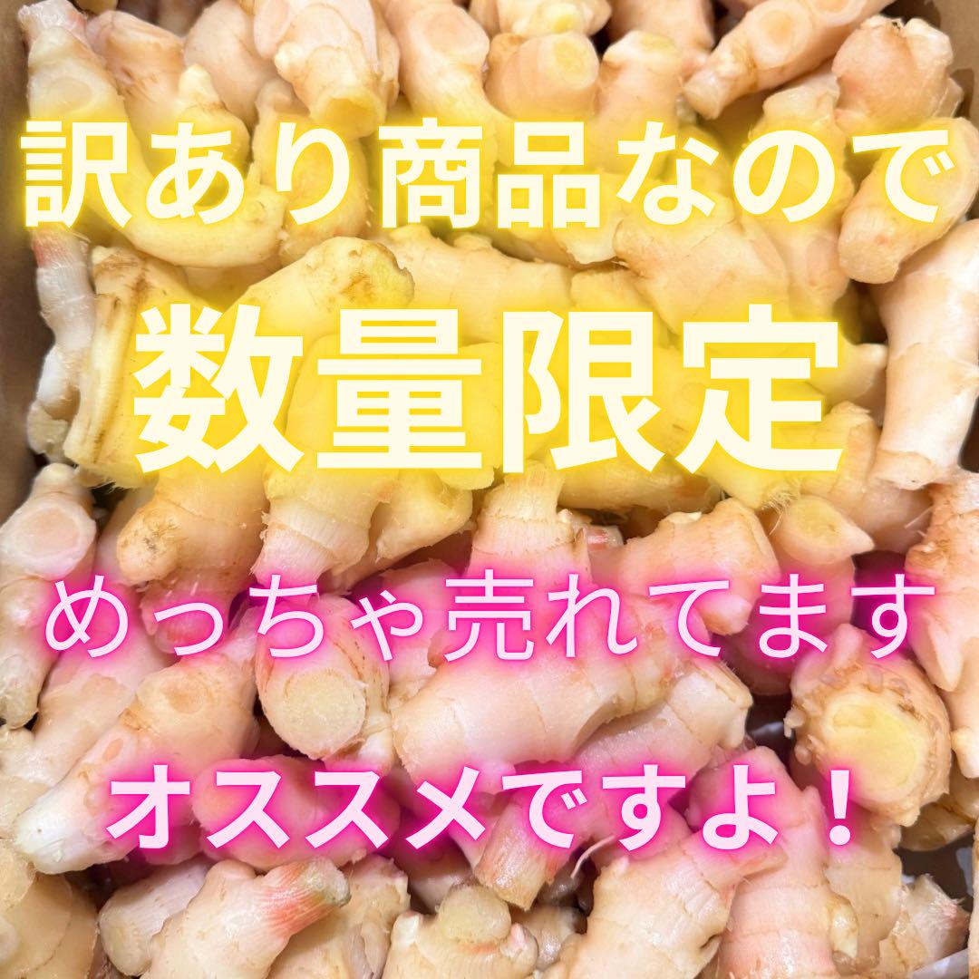 新物　新生姜　安いよ　300