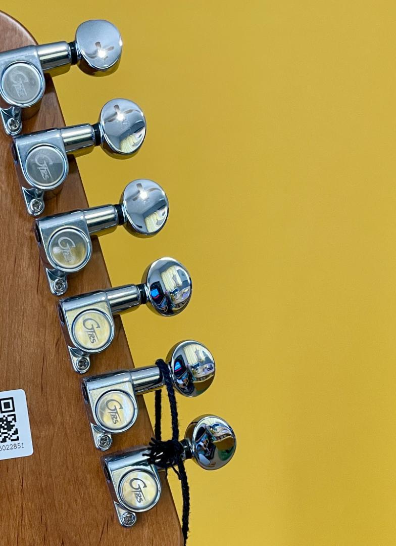 新品/未使用⭐️Mooer GTRS S800 / 最先端インテリジェントギター