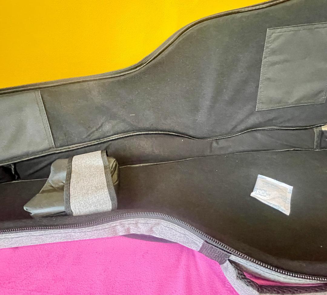 新品/未使用⭐️Mooer GTRS S800 / 最先端インテリジェントギター