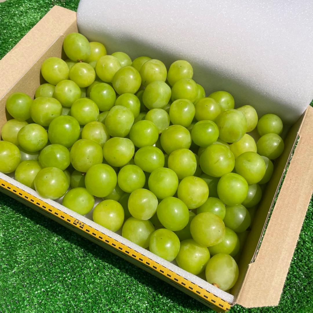 ak56 山梨県産　シャインマスカット　葡萄　グレープ　粒　箱込み5kg