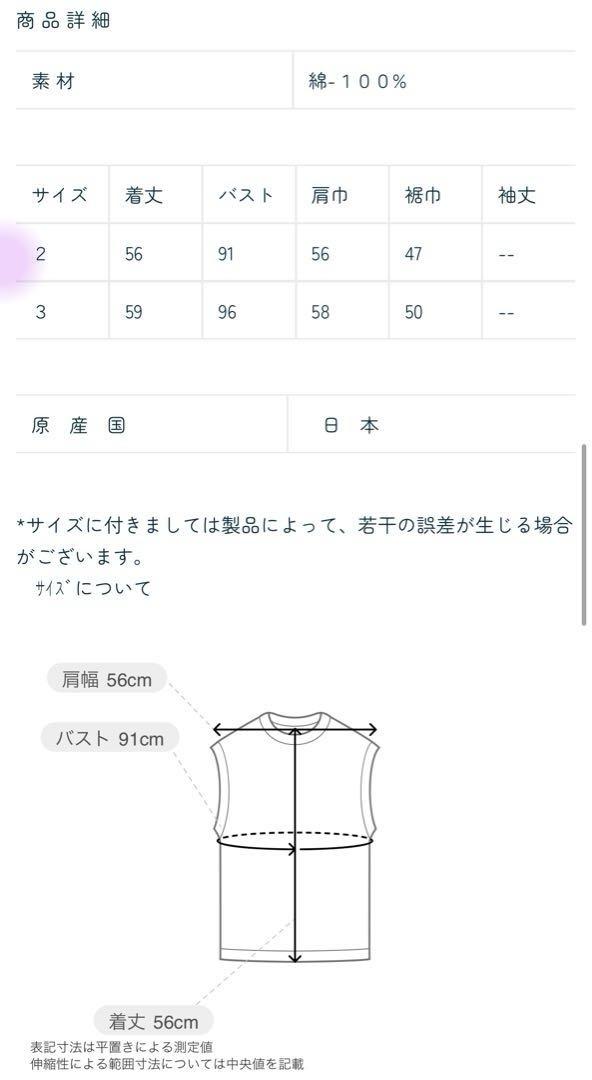 今季美品パラスパレス ナチュラルソフト天竺草橘柄プリントT