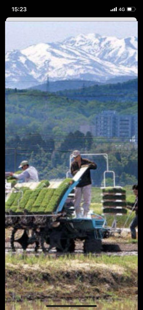 令和6年石川産　ゆめみづほ　10キロ 精米済
