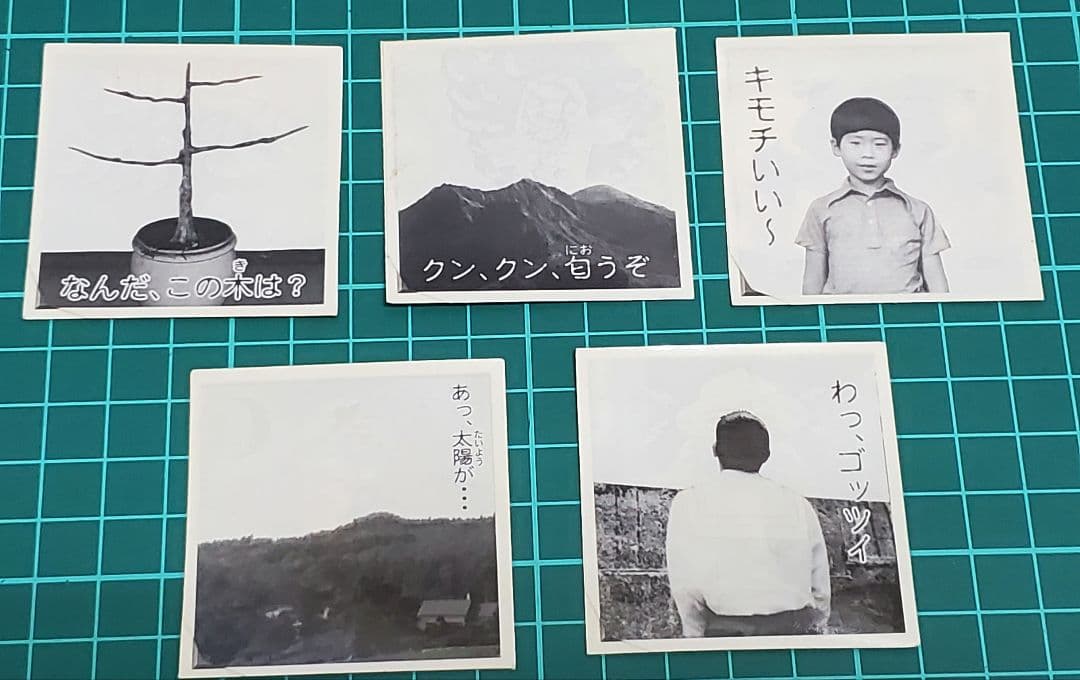 希少!?ロッテ 超念写シール ミステリーファイル40枚セット 希少!?ロッテ 超念写シール ミステリーファイル40枚セット