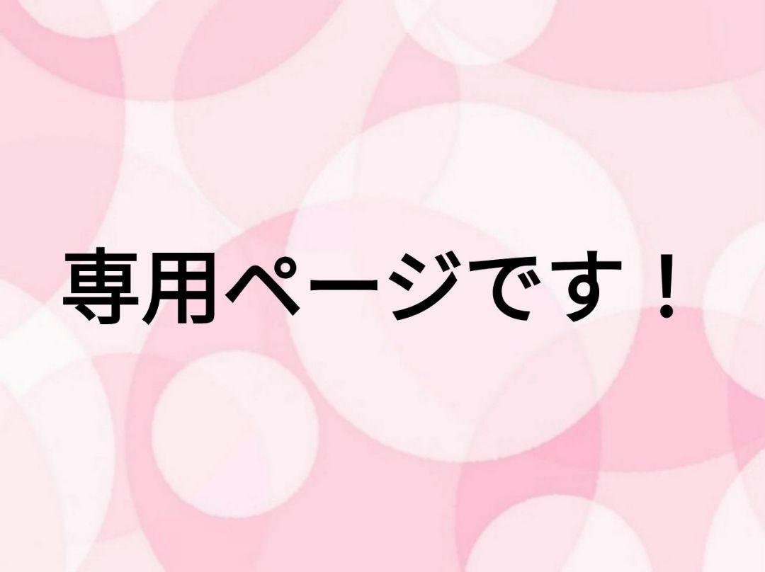 ともよ様専用ページです！フェイクフルーツ