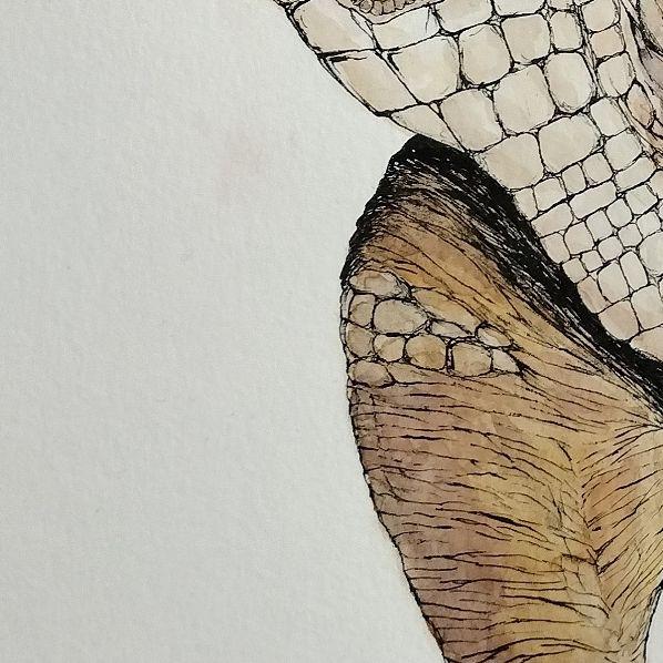ティラノサウルスの水彩画