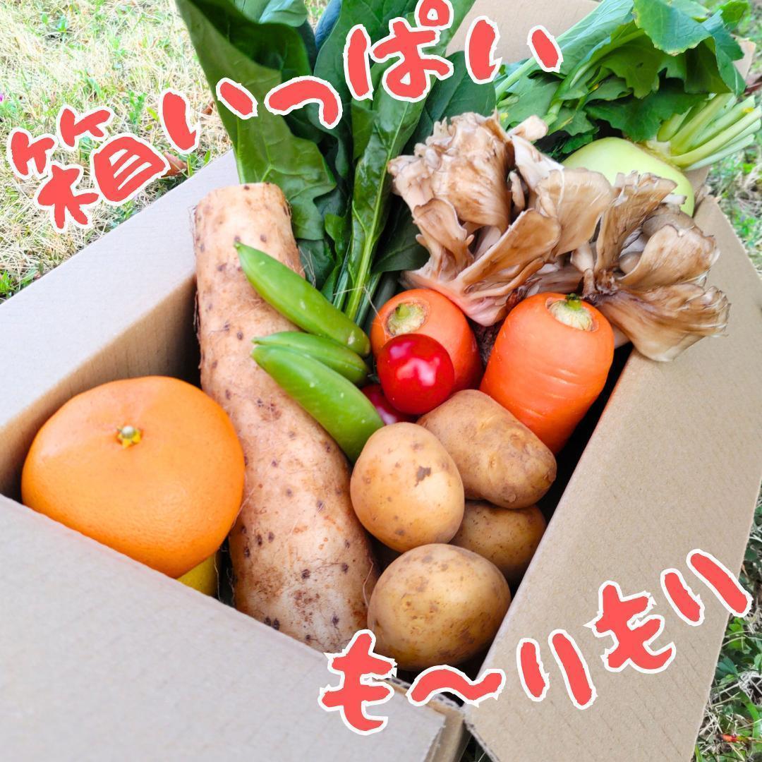 野菜60+りんご1.4kg+新蕎麦12人前●　12/26出荷#z
