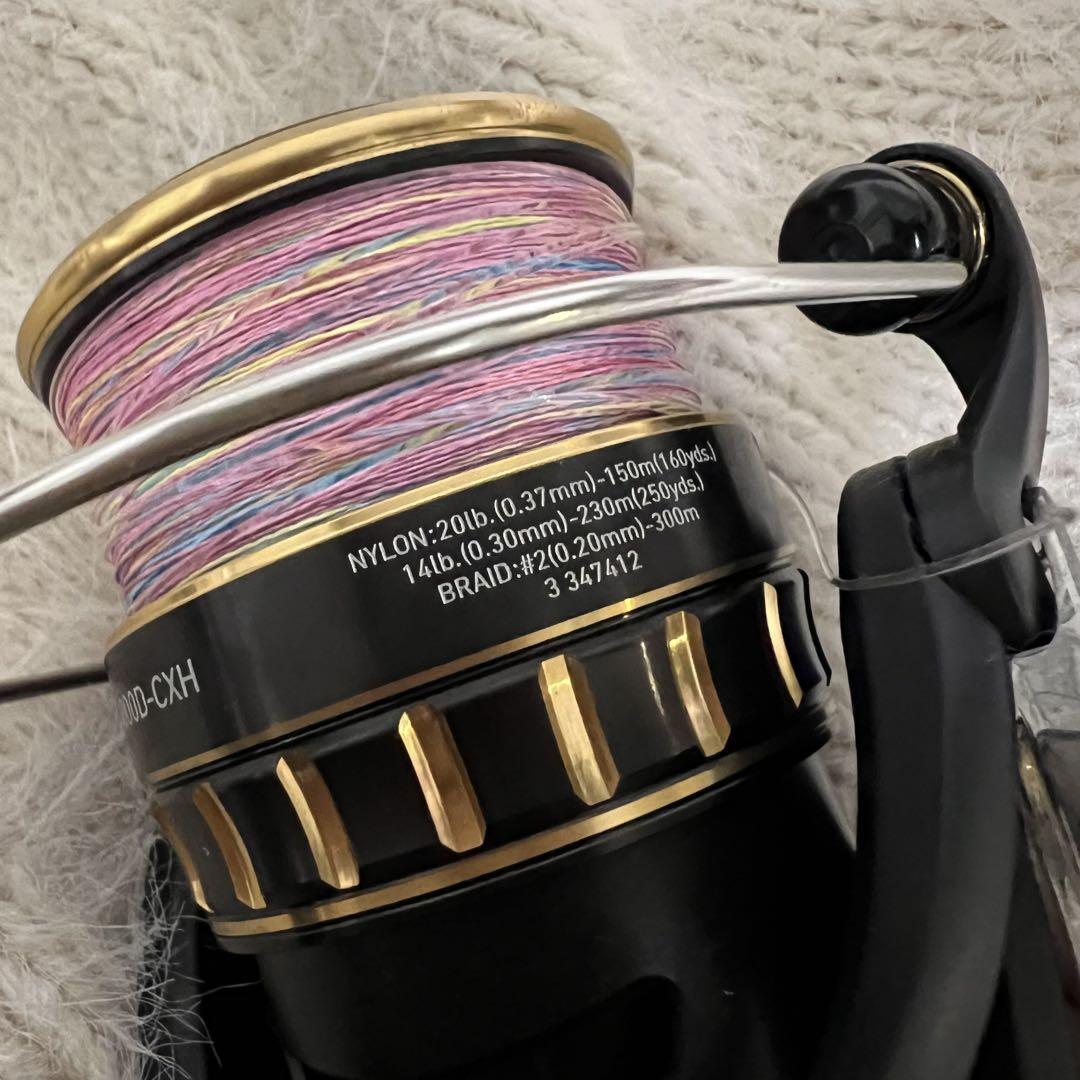 リール DAIWA BG SW 4000-CXH