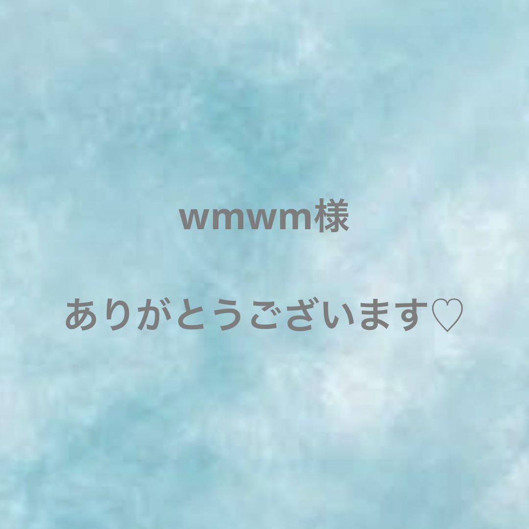 wmwm様　専用ページ