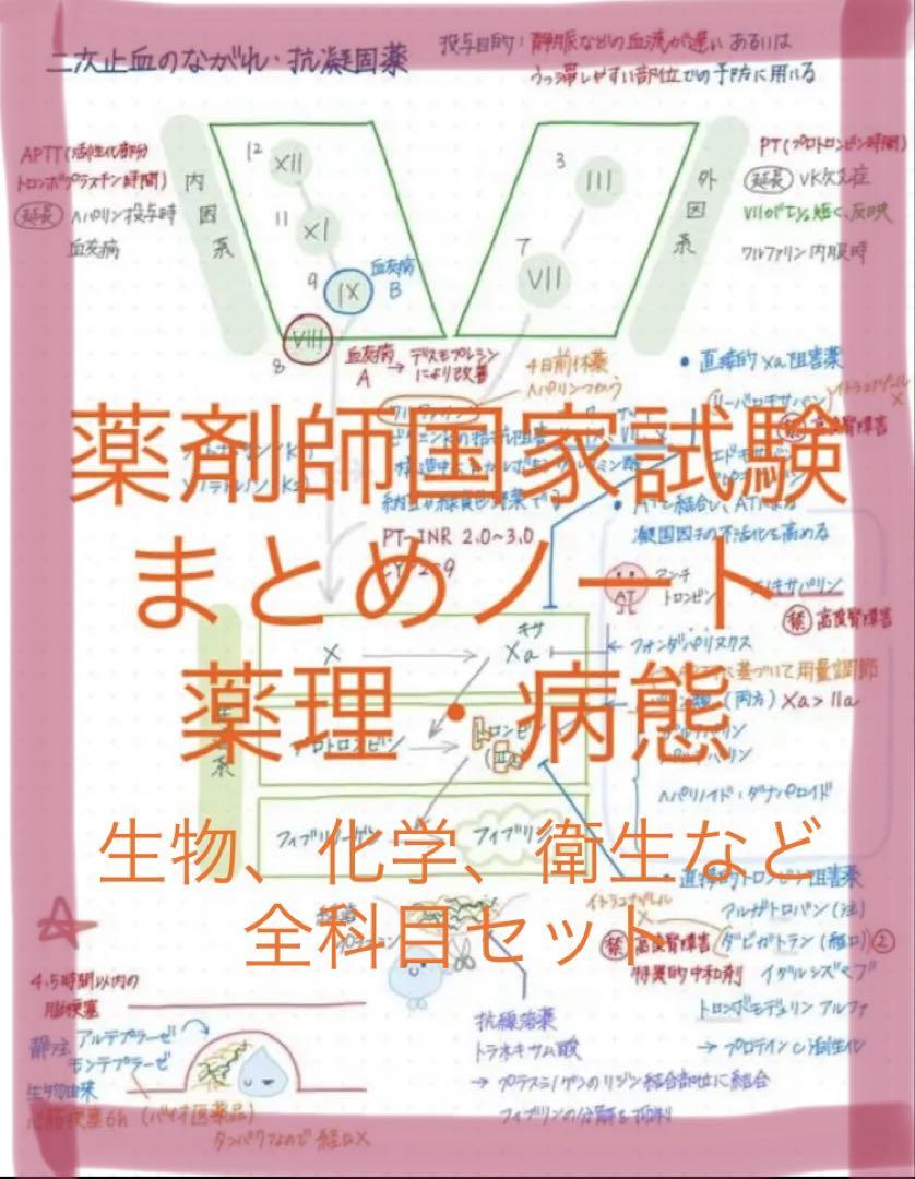 【セット販売】A4サイズ 国試頻出疾患＋重要項目 まとめノート 3,4年生向け】国試まで使えるセット商品が登場！ | INFORMA by
