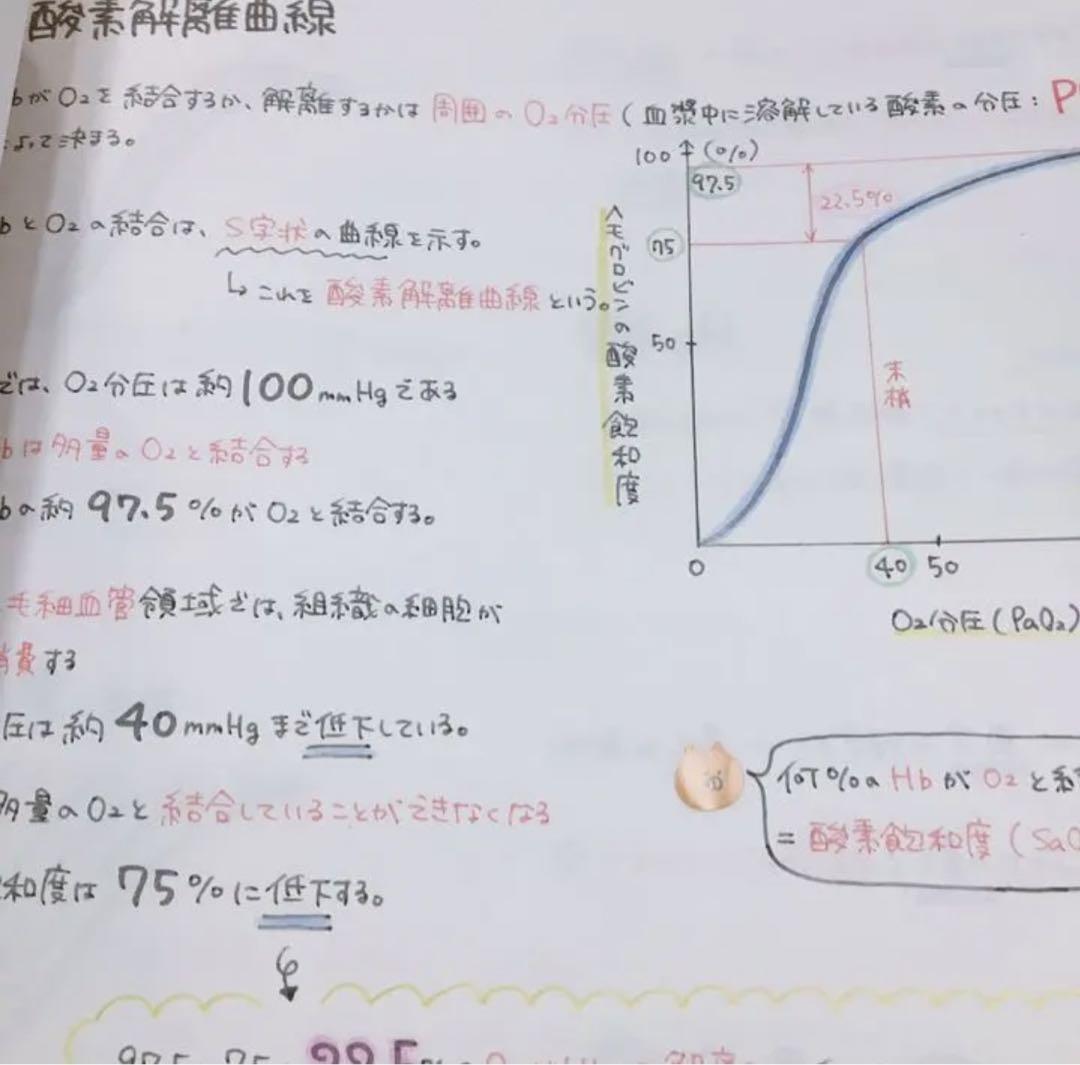 血液 まとめノート 解剖生理学 看護師国家試験 循環器 - メルカリ