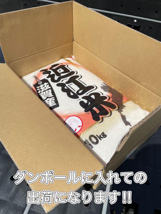 定番再入荷 送料無料 30kg 10kg×3本 mkV9c-m47896913251 近江のお米 再入荷得価