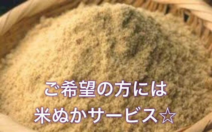 定番再入荷 送料無料 30kg 10kg×3本 mkV9c-m47896913251 近江のお米 再入荷得価