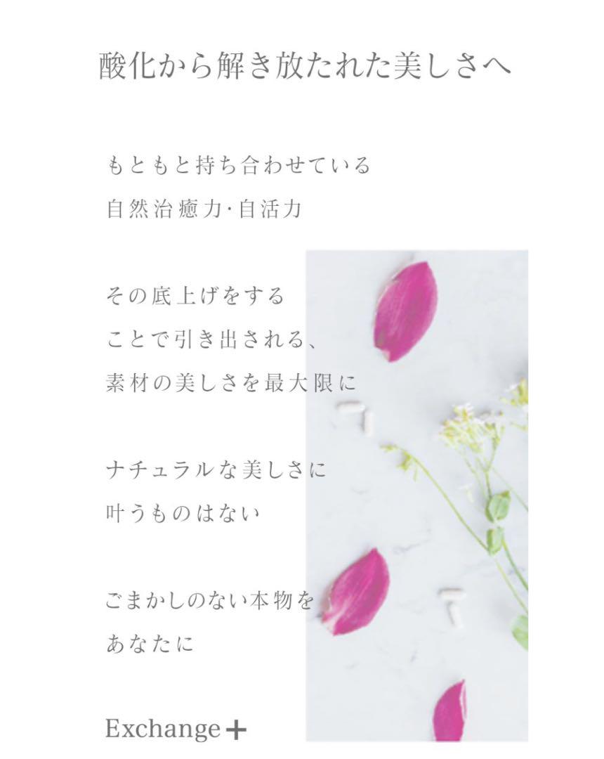 STRI ストリ 水素パウダー 25袋 水素カプセル 100ml セット