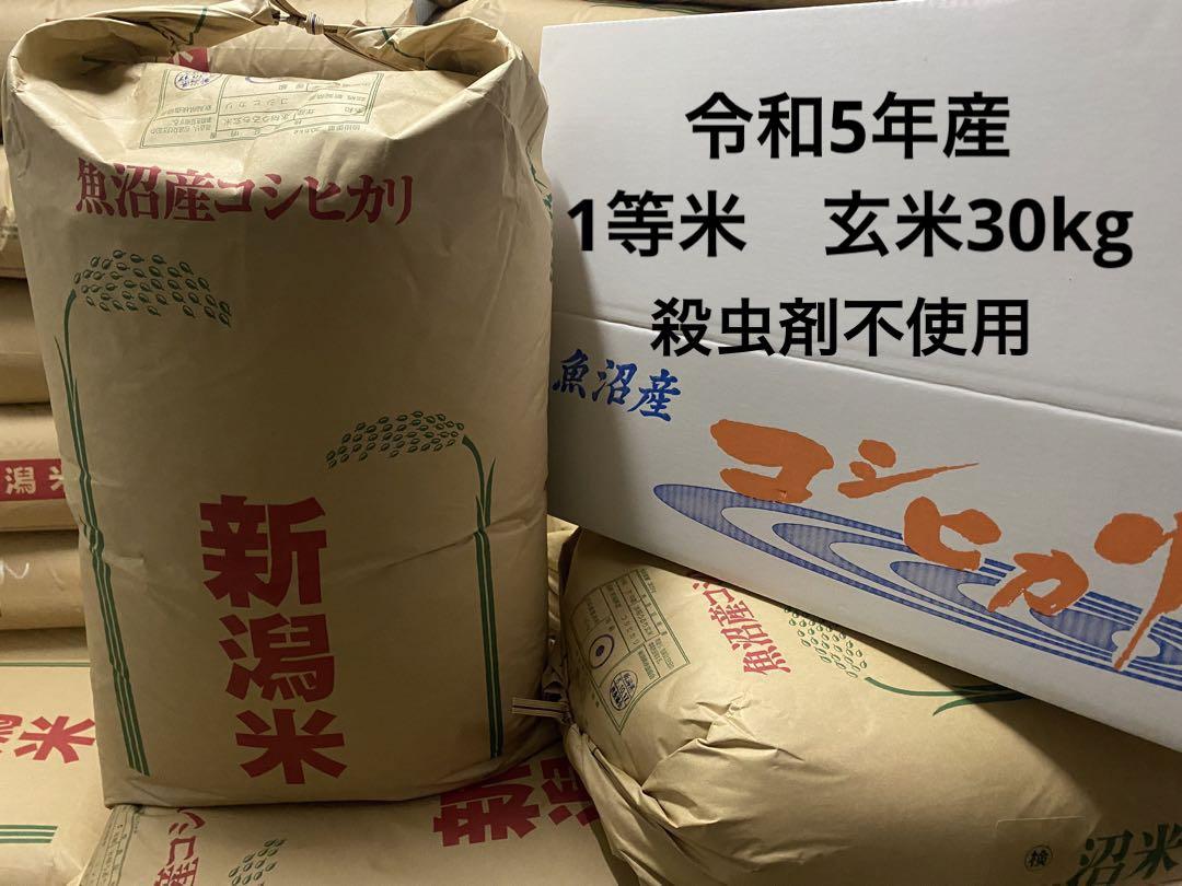 令和5年度産　魚沼産コシヒカリ　1等米　脱ネオニコ米　殺虫剤不使用　玄米30kg