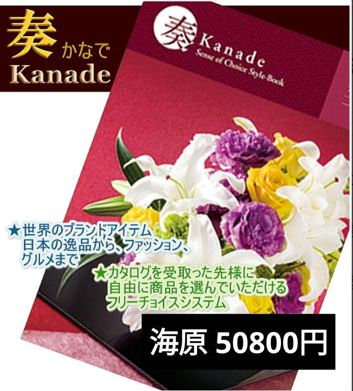 カタログギフト フリーチョイス 50800円 新品 旅行 夏休み