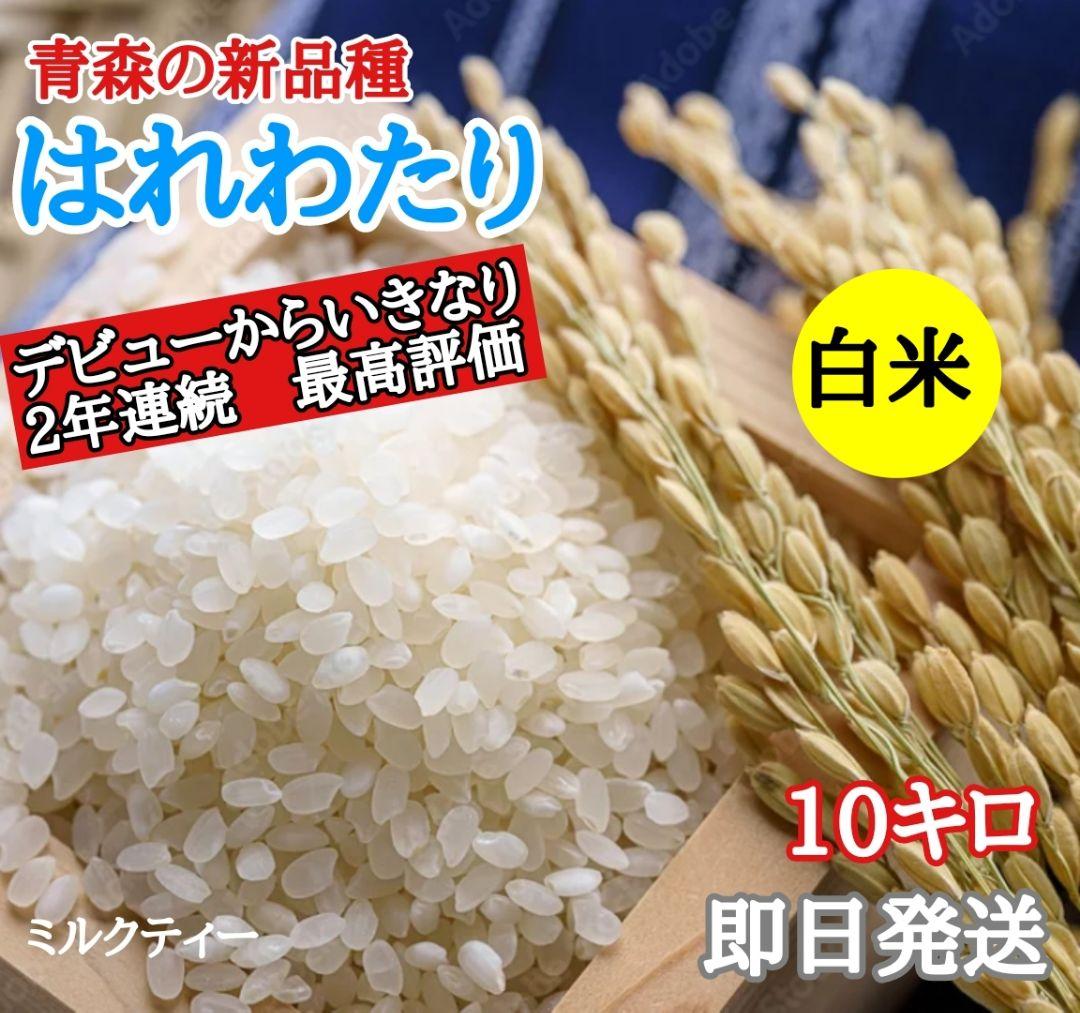 青森県産　最新品種　はれわたり 10キロ 精米5月中旬 お米　白米　10kg