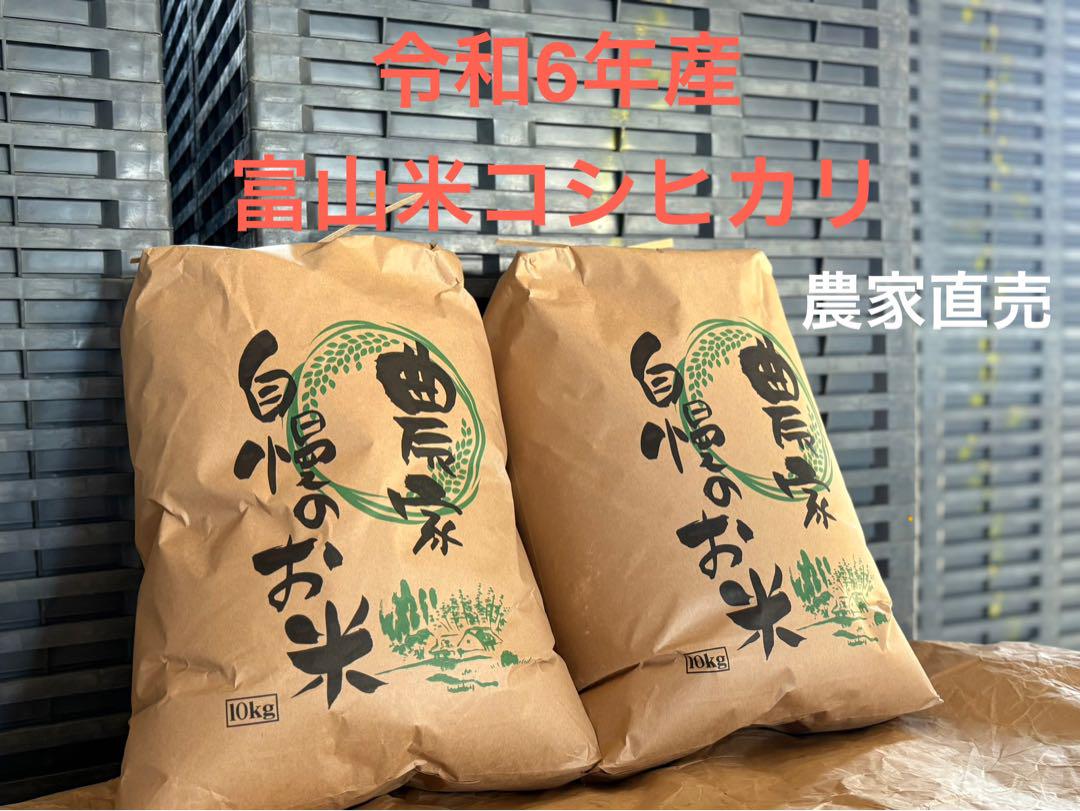 富山県産 コシヒカリ 10kg 玄米　令和6年産