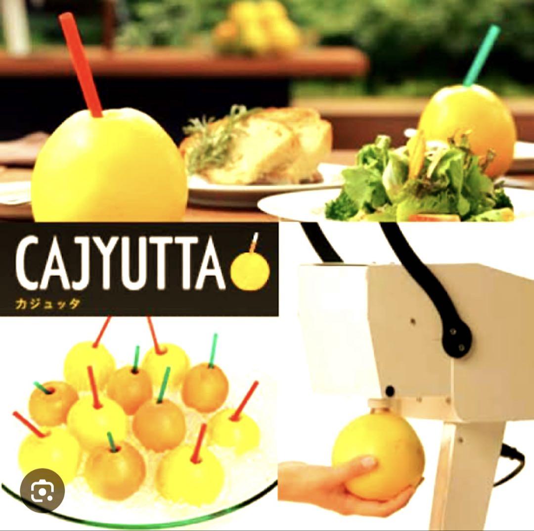 CAJYUTTA 手動式果物絞り器