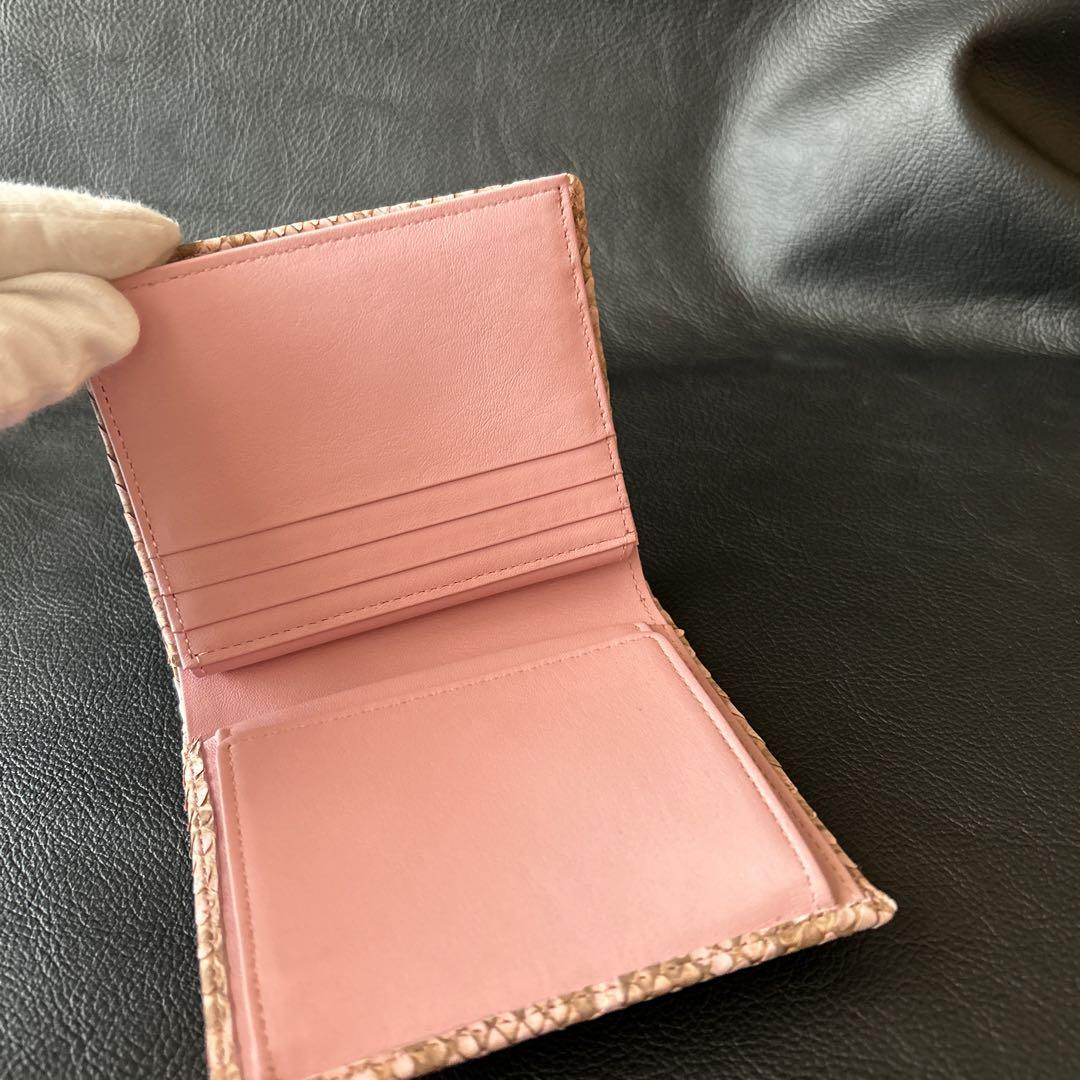本革パイソン