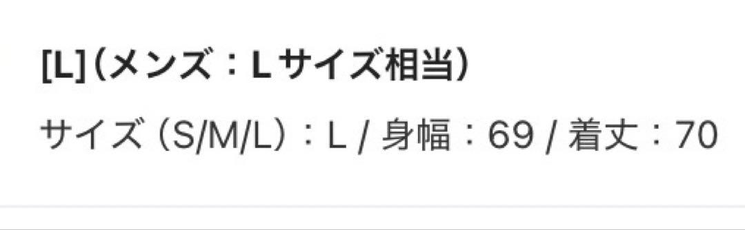 完売品 +phenix フライトダウンボンバージャケット ゴアテックス サイズL