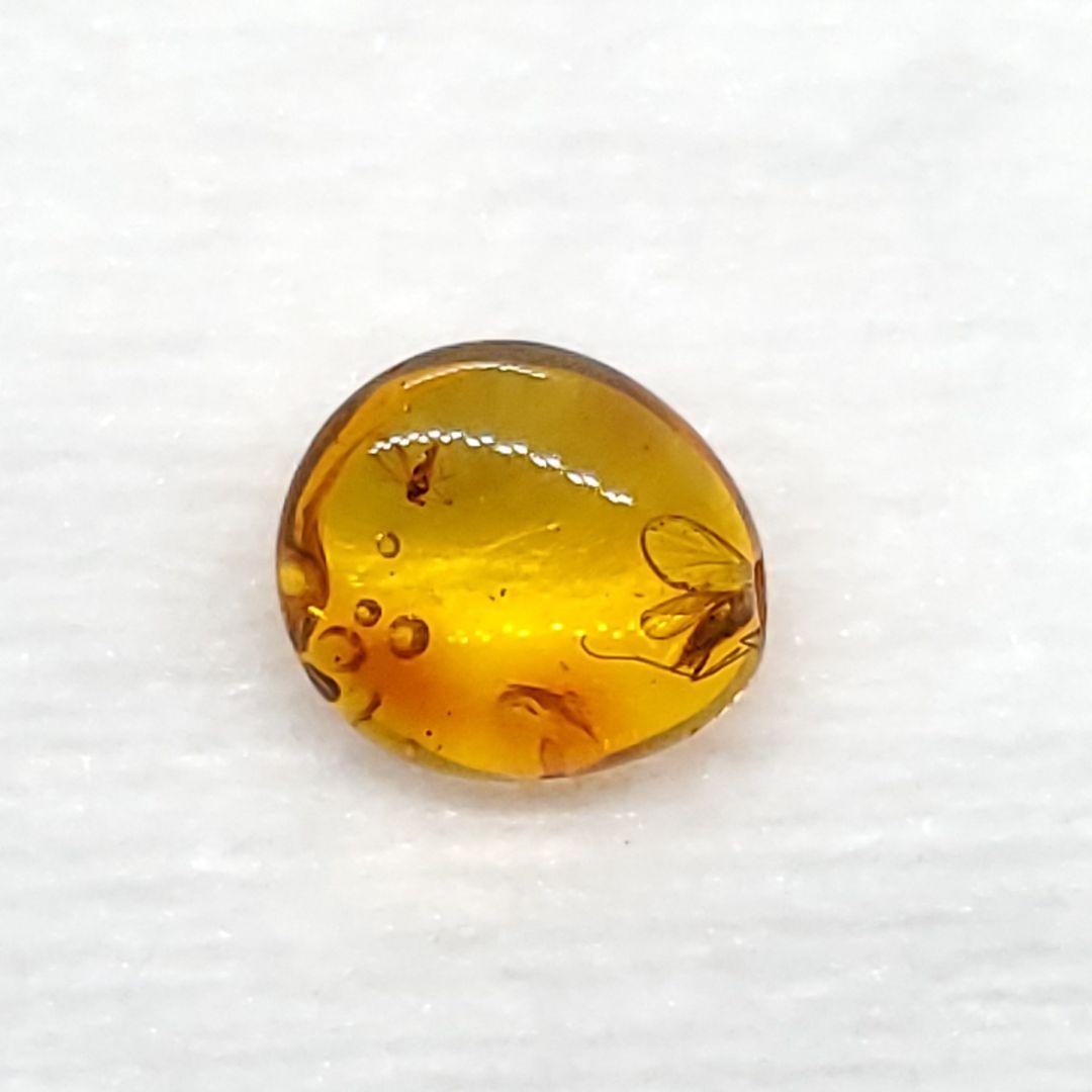 美品 虫入り 琥珀 化石 本物 バルト海産 ケース付き 8.73mm ab157
