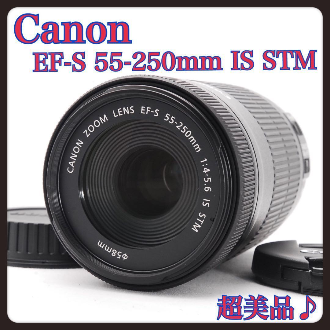 ★超美品☆Canon EF-S 55-250 IS STM☆望遠レンズ★