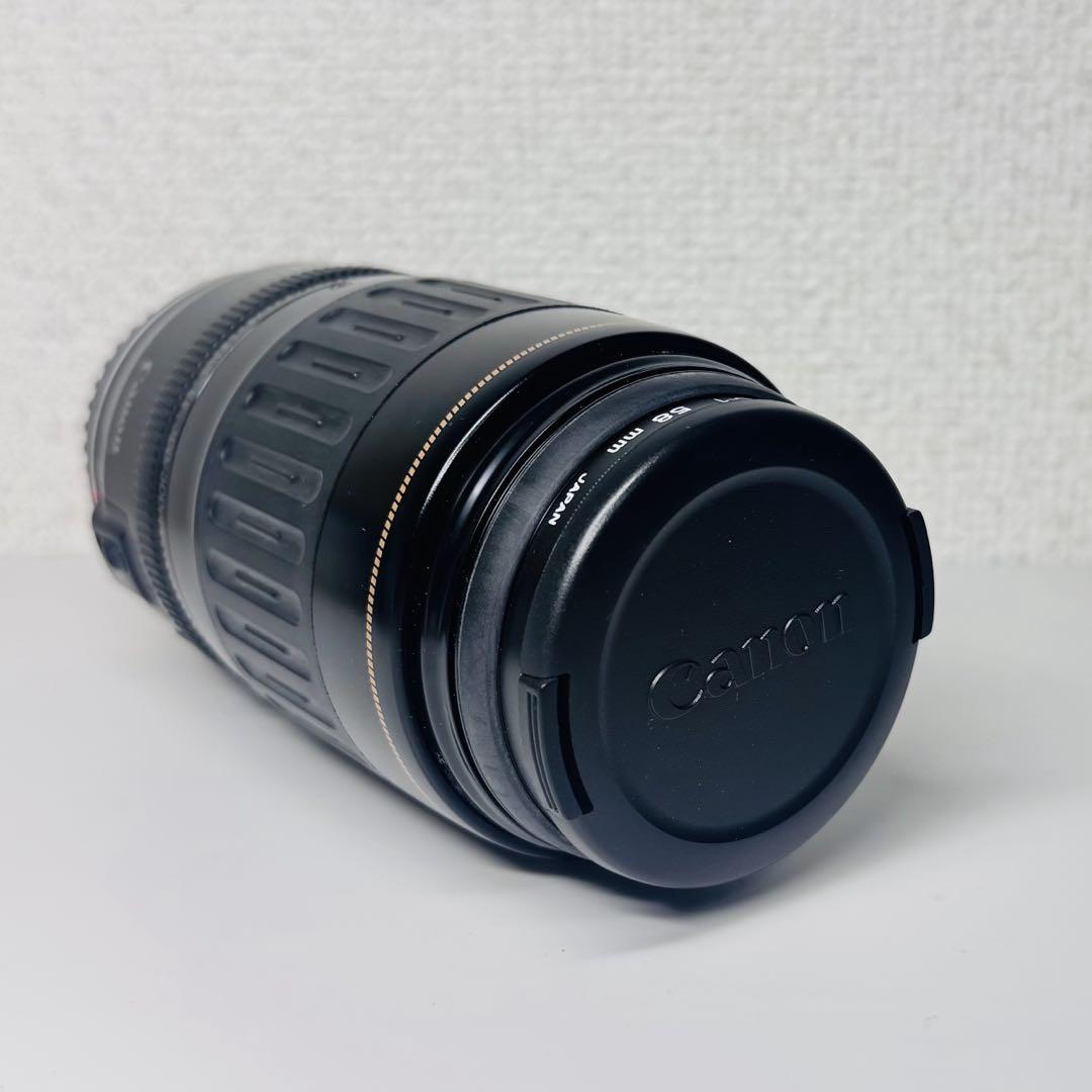 Canon EF 100-300mm F5.6 ズームレンズ カメラ