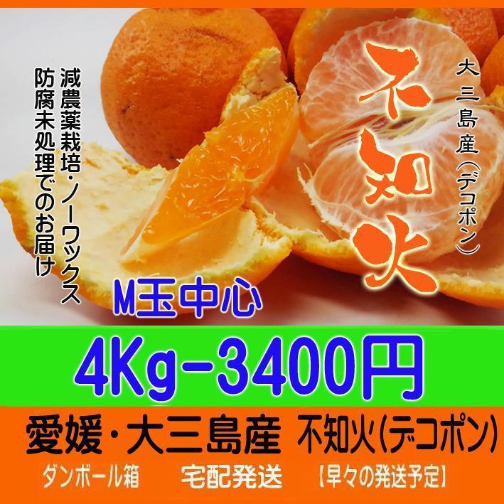 【スマイル】M玉不知火4Kg+ブス不知火6Kg+伊予柑4Kg　同梱発送
