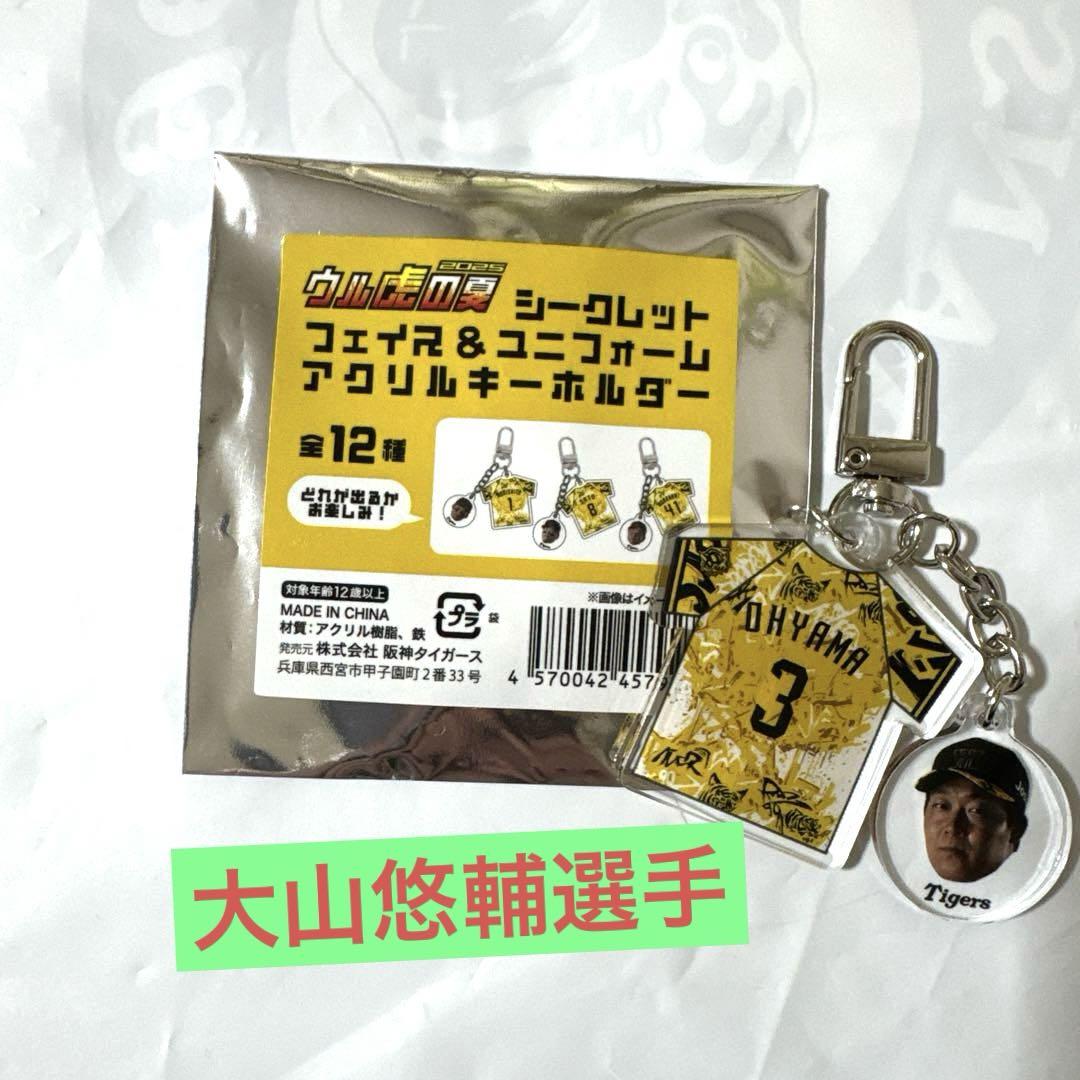 レア！】阪神タイガース 大山悠輔シークレットアクリル