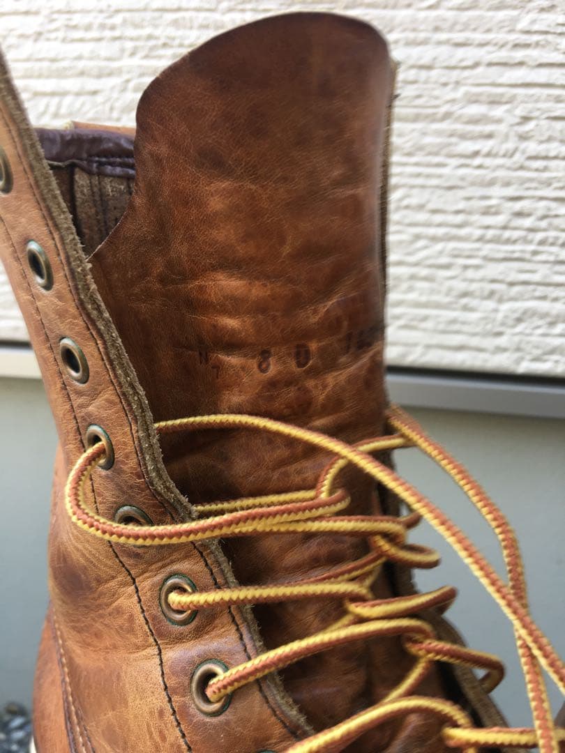 犬刻印8D アイリッシュセッター