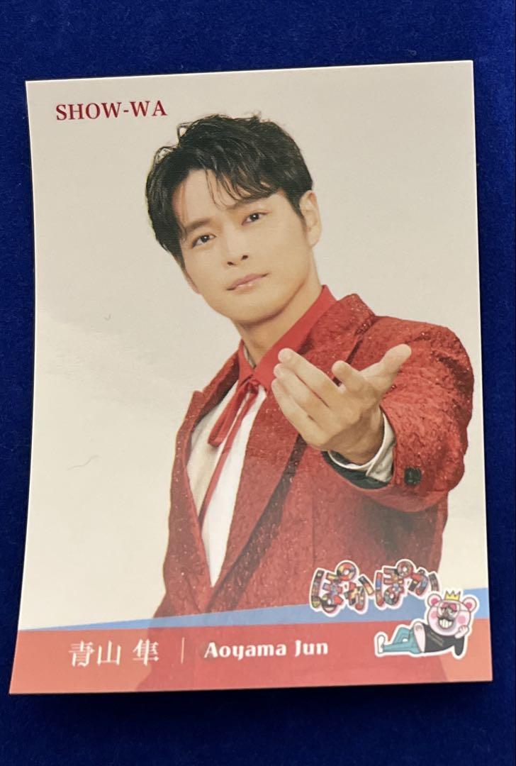 SHOW-WA 青山隼パネル＋君の王子様 CD 14枚セット SHOW-WA 青山隼パネル＋君の王子様 CD 14枚セット - メルカリ