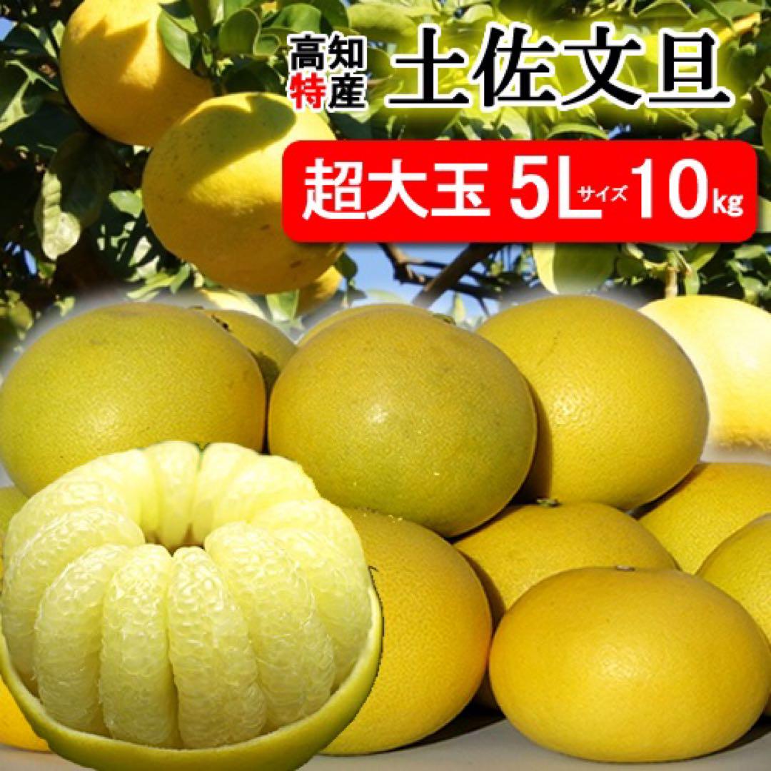 お買い得♪高知特産　土佐文旦　超大玉サイズ　約10kg