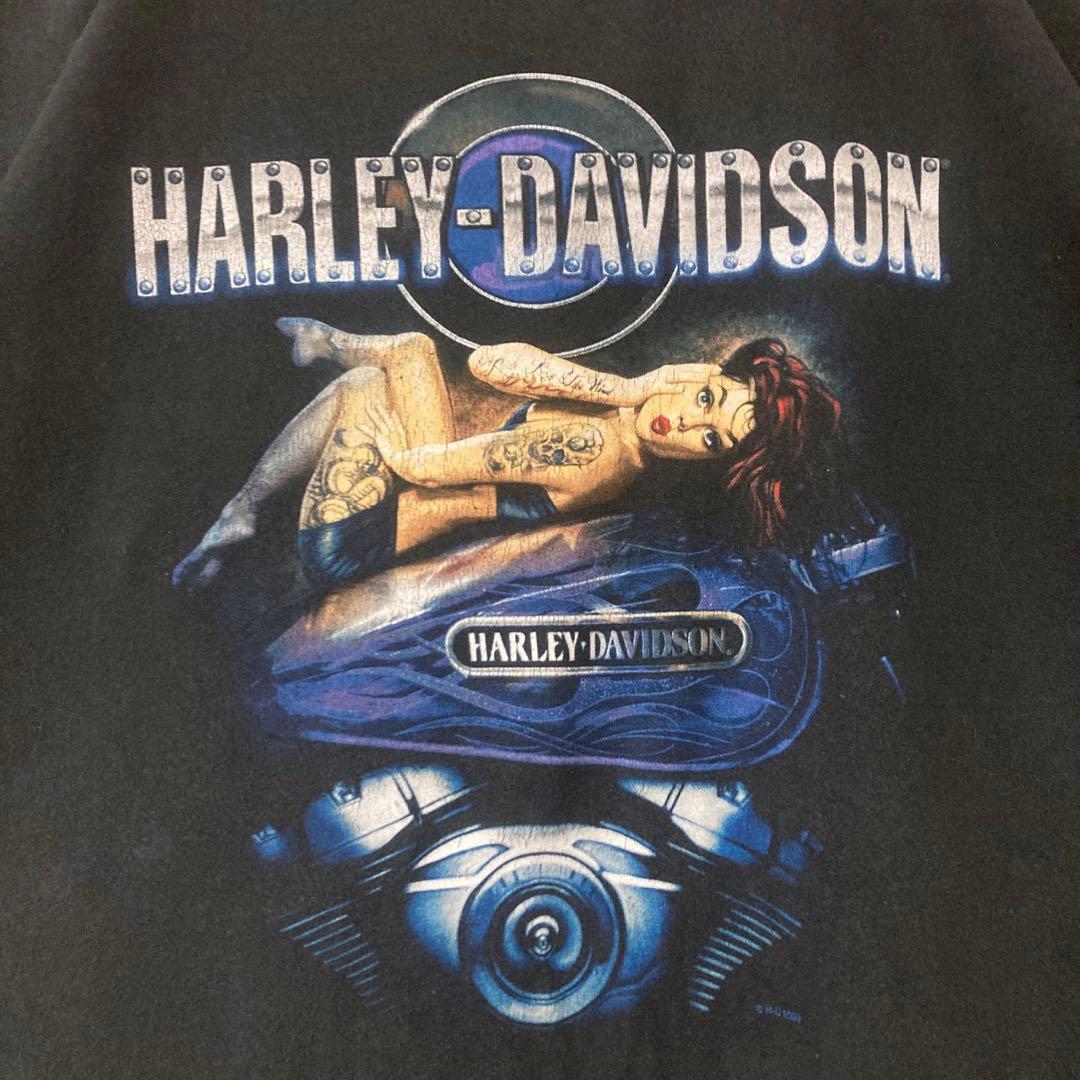 ハーレーダビッドソン メキシコ製 Tシャツ 両面プリント ハーレー