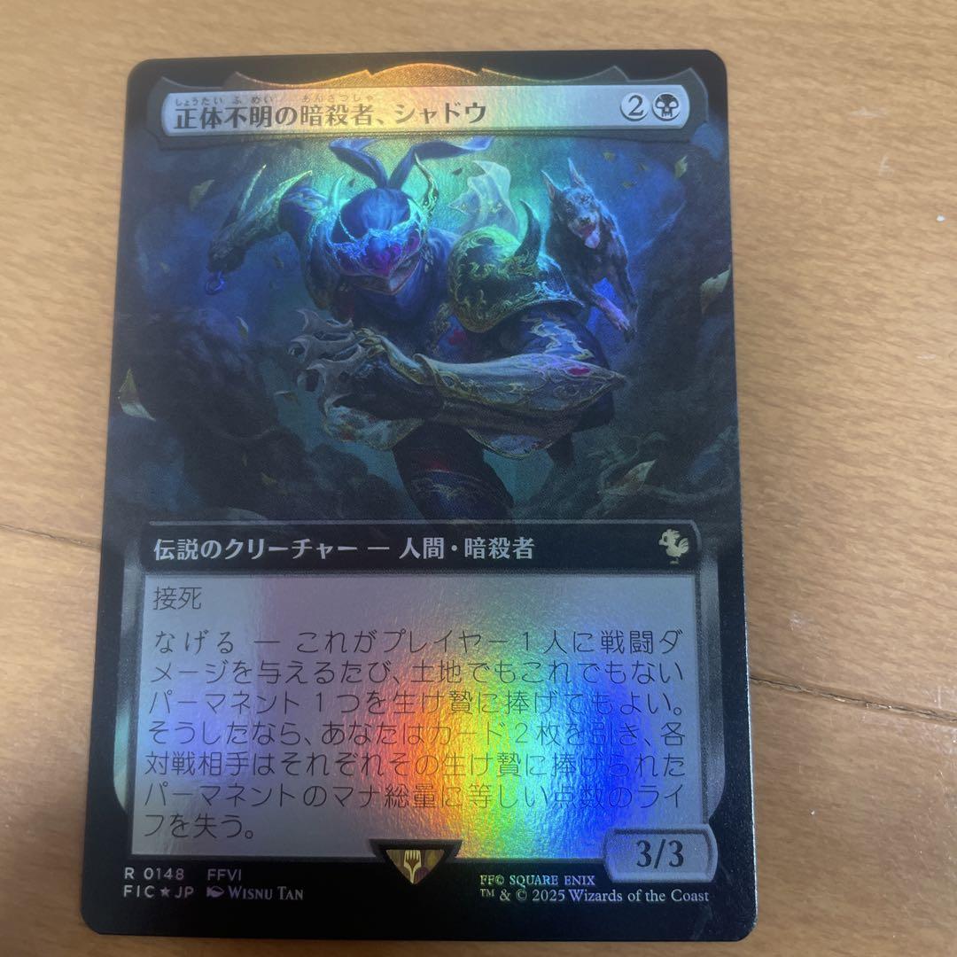 MTG 稀少 正体不明の暗殺者、シャドウ 日本語 拡張アート FOIL
