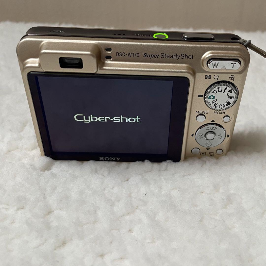 Amazon.com : Sony Cybershot DSCW170/B 10.1MP Digital Camera
