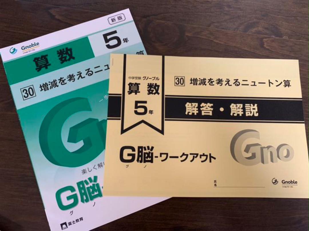 日本産】中学受験グノーブル 算数 グノワークアウト 5年生 全30冊 参考 ...